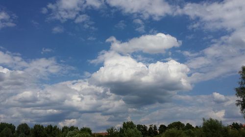 Low angle view of trees against cloudy sky