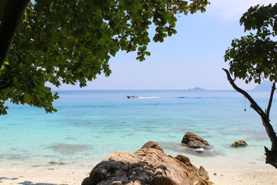 Scenic view of sea against clear sky