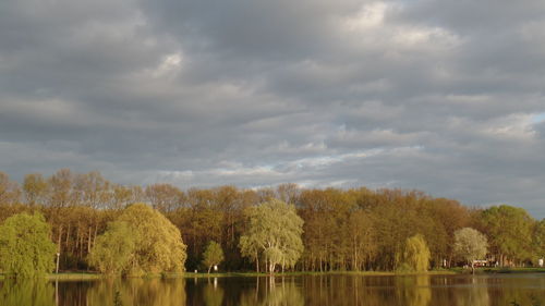 Scenic view of lake by trees against sky