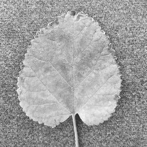 High angle view of heart shape on field