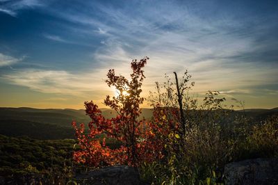 Scenic view of landscape against sky at sunset