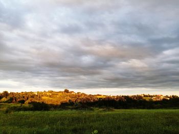 Scenic view of field against sky during sunset