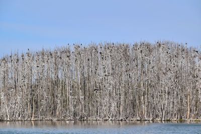 Panoramic view of lake against clear blue sky