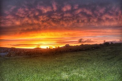 Scenic view of field against sky during sunset