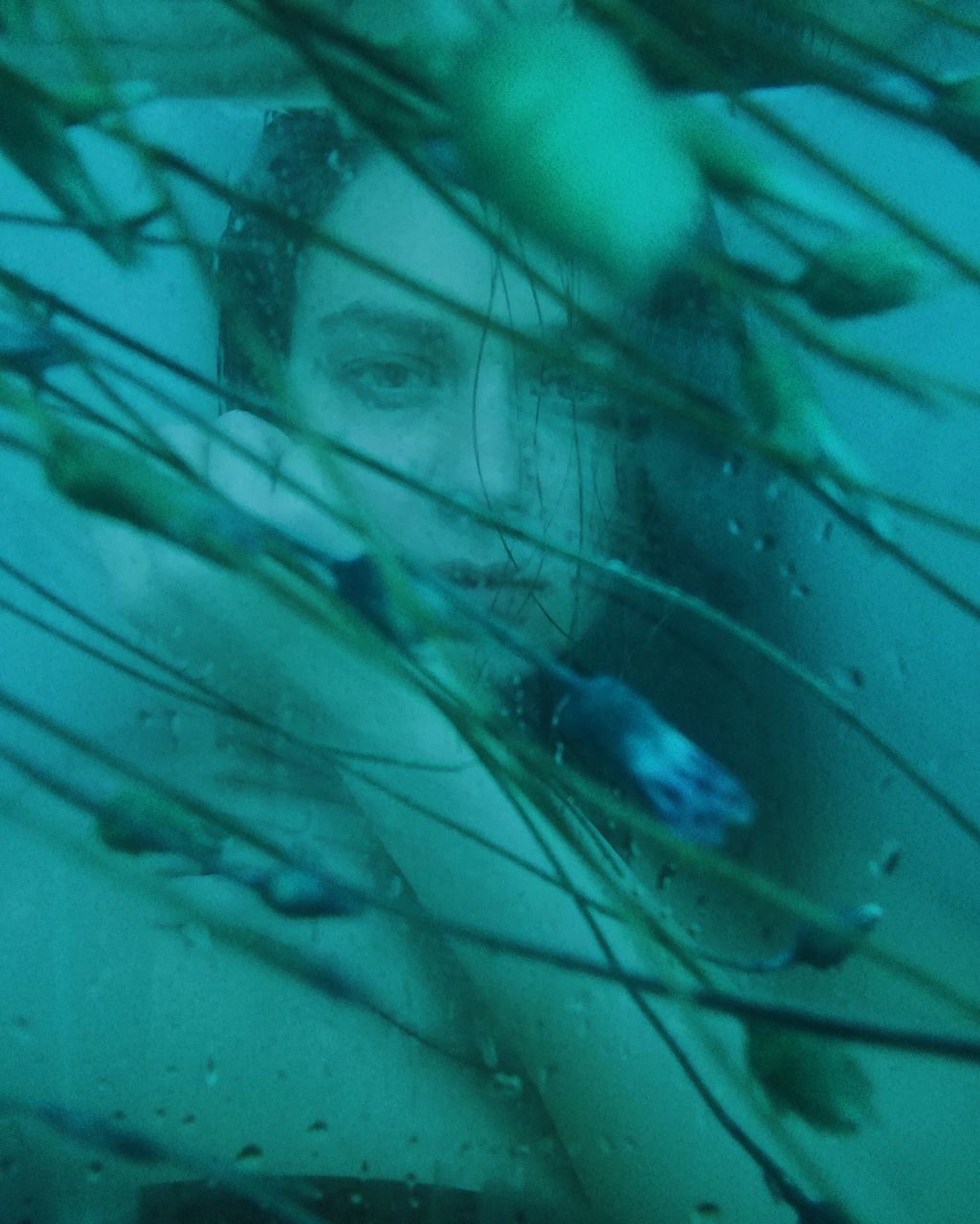 one person, water, one animal, animal wildlife, underwater, animals in the wild, nature, close-up, selective focus, real people, looking at camera, women, day, portrait, vertebrate, invertebrate