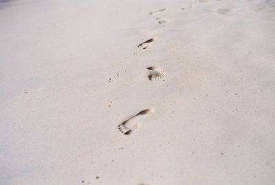 High angle view of footprints on sand at beach