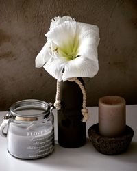 Close-up of white flower in jar on table
