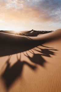 Scenic view of desert against sky during sunset