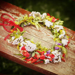 High angle view of flowering plant on table