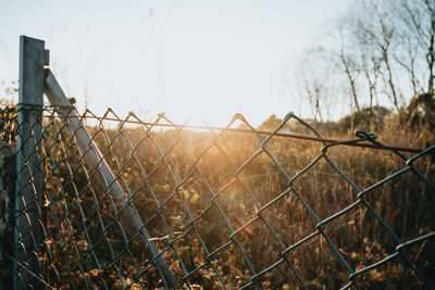 Close-up of chainlink fence