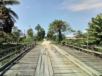 Empty footpath amidst trees against sky