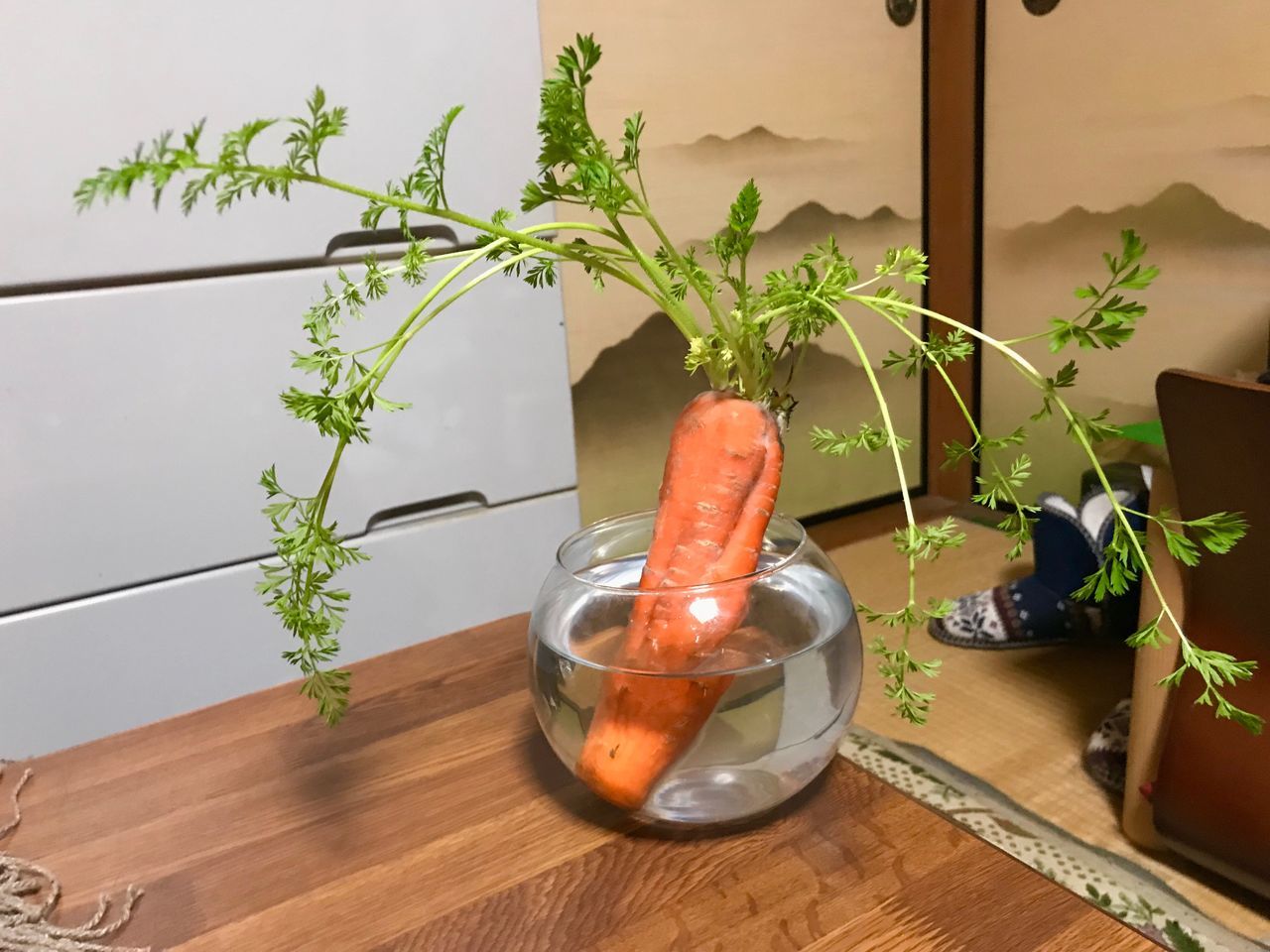 plant, potted plant, growth, plant part, leaf, nature, indoors, green color, table, wood - material, no people, houseplant, day, close-up, glass - material, flower pot, container, window, flooring, gardening, wood