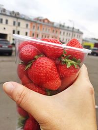 Cropped image of person holding strawberries