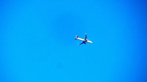 Low angle view of airplane flying in sky