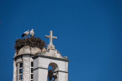 Low angle view of bird storck on a building
