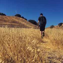 Rear view of man walking on field against clear blue sky