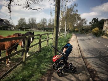 Horse cart on landscape against sky