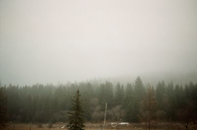 Trees on landscape against sky during winter