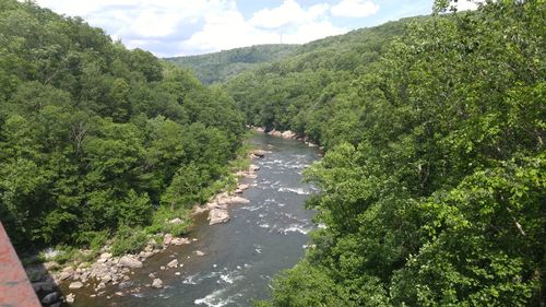 Scenic view of landscape