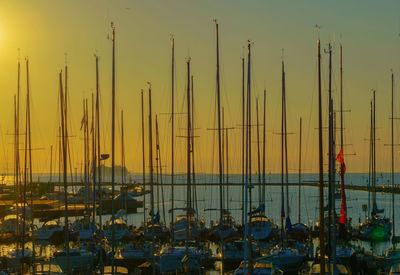 Sailboats in harbor at sunset