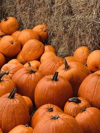 High angle view of pumpkins on field