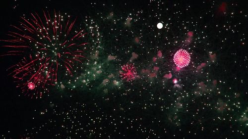 Low angle view of firework display at night