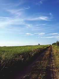 Scenic view of field against cloudy sky