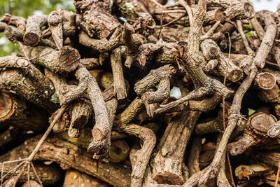 Full frame shot of firewood