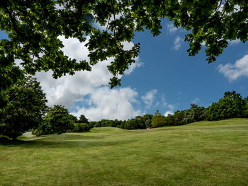 Brilliant day to play golf 