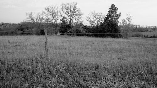 View of grass against sky