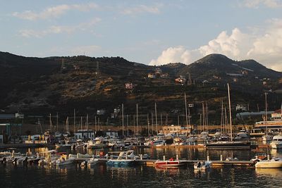 Sailboats moored at harbor against sky