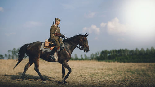 View of horse on field