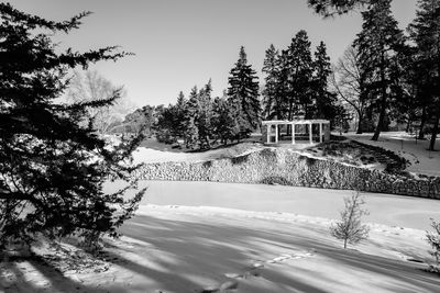 Trees by swimming pool against sky
