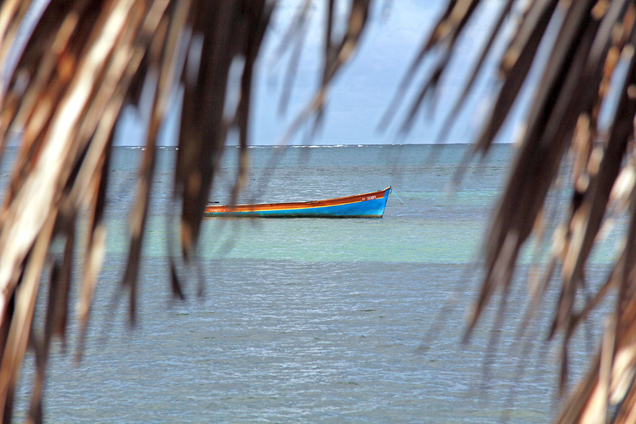 Boat in island