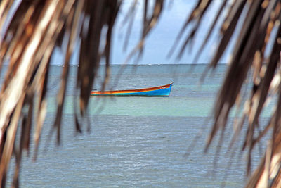 Close-up of boat on beach