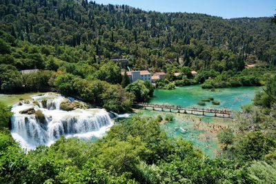 Scenic view of river in forest against sky