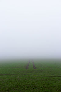 Scenic view of field against clear sky