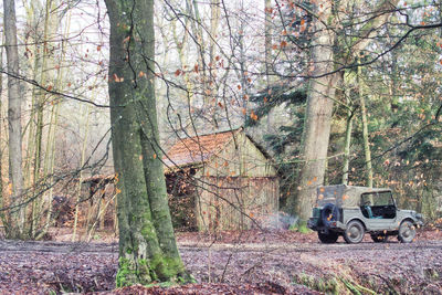 Car on field by trees in forest