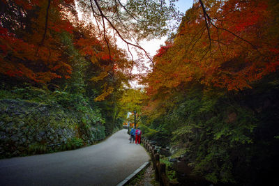 Man riding bicycle on road in forest during autumn