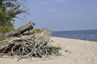 Scenic view of beach against sky