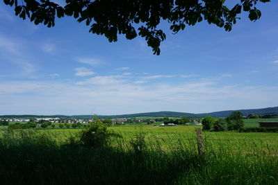 Scenic view of field against sky