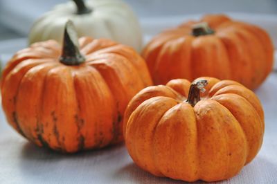 Close-up view of pumpkins