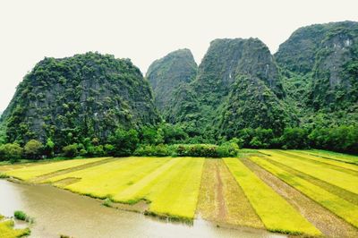 Scenic view of green landscape against clear sky