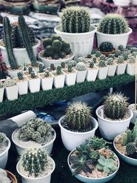 High angle view of potted plants