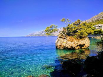 Scenic view of sea against blue sky