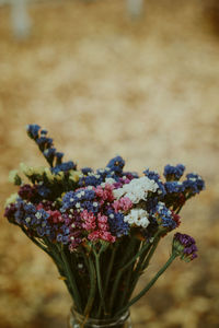 Close-up of purple flowering plant