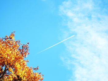 Low angle view of vapor trail against blue sky