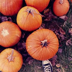 Full frame shot of pumpkins