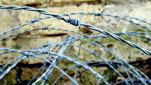 Close-up of barbed wire