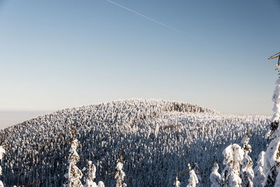 Panoramic view of snow field against clear sky